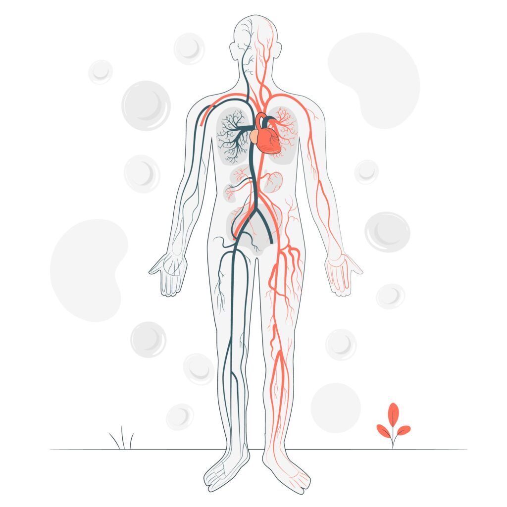 Vascular Access Planning